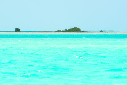 White-sand beach with a few trees and vibrant turquoise ocean