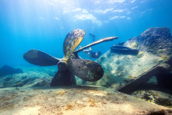 Ship propeller and snorkeler at shipwreck