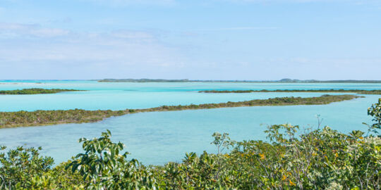 Bottle Creek and the East Bay Islands National Park, Turks and Caicos