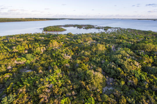 Tropical forest and wetlands at Burial Cay in Bottle Creek