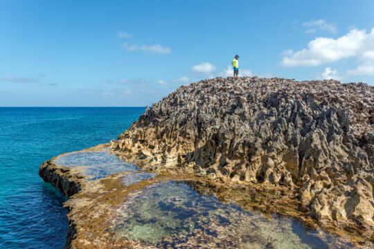 Limestone ironshore coast on Bush Cay