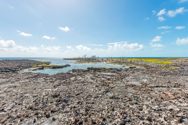 Small lagoon on Bush Cay