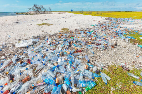 Trash on Bush Cay in the Turks and Caicos