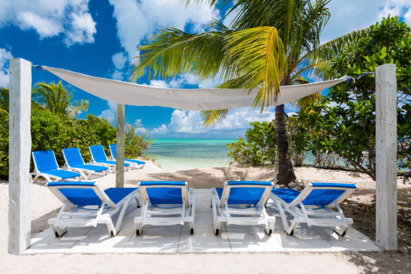 Hammock near the beach