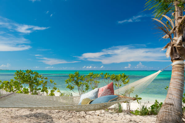 Hammock near the beach