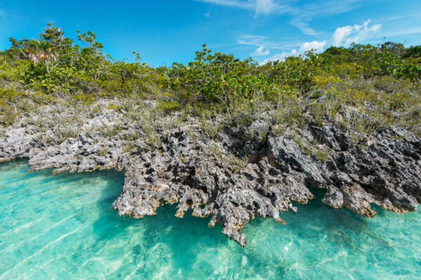 Intricate limestone ironshore formations in Chalk Sound