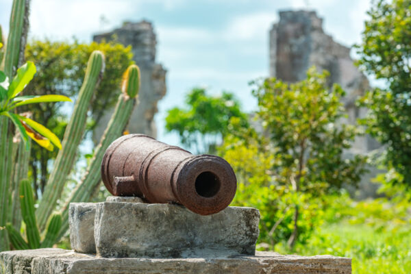 Cheshire Hall Plantation in the Turks and Caicos