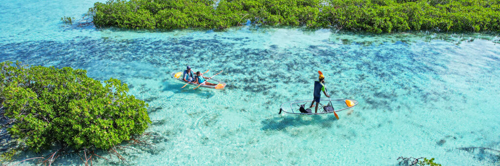 Clear kayak eco-tour, at the Frenchman's Creek Nature Reserve in the Turks and Caicos
