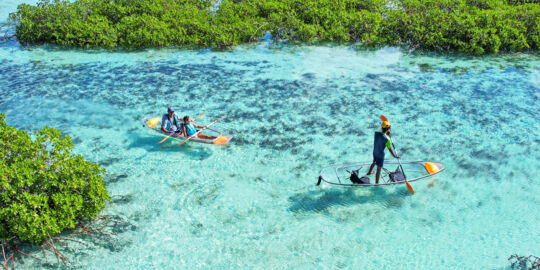 Clear kayak eco-tour, at the Frenchman's Creek Nature Reserve in the Turks and Caicos