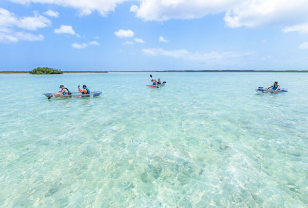 Clear kayaks in a nature reserve in the Turks and Caicos