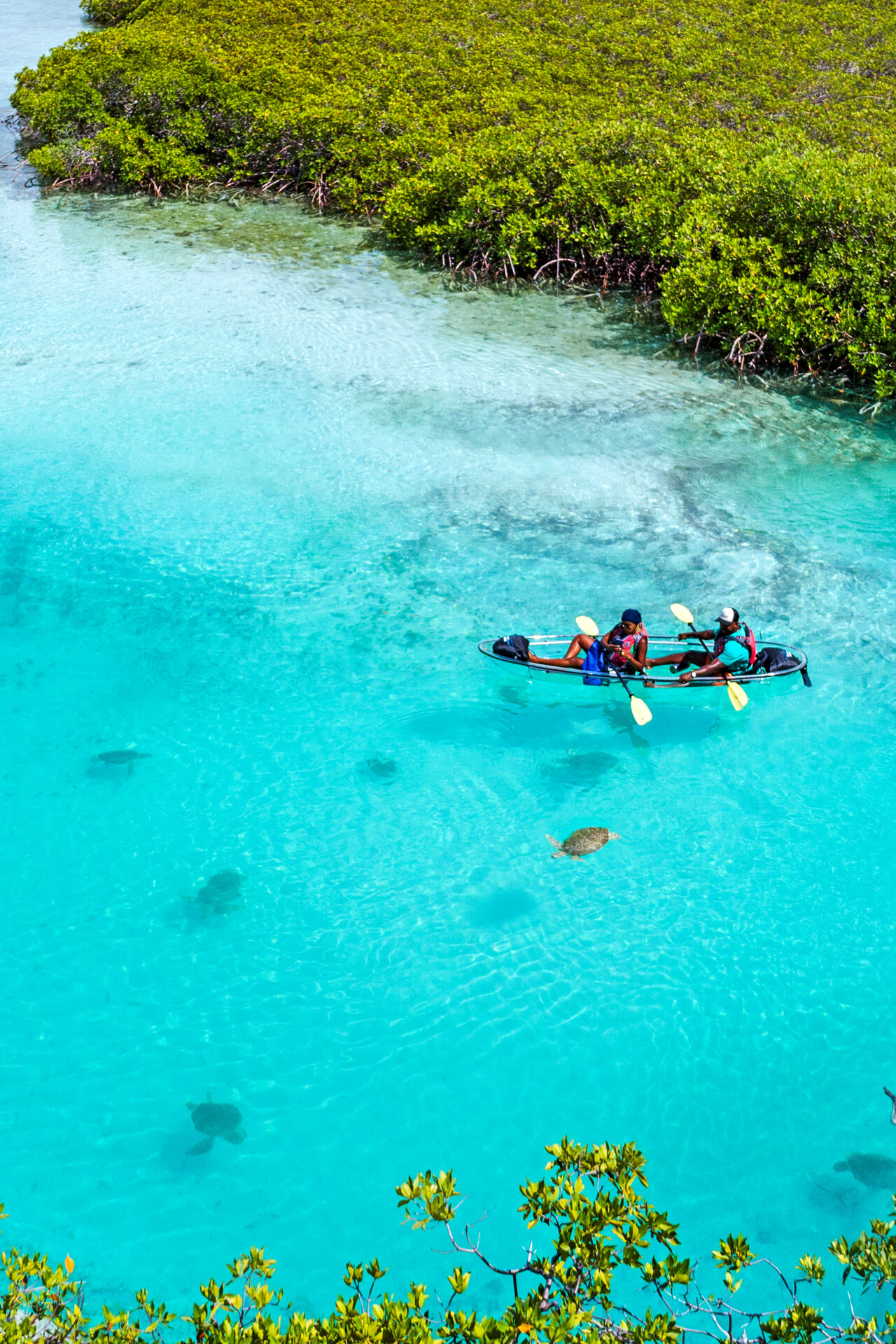 Clear Kayaking in Turks and Caicos | Visit Turks and Caicos Islands