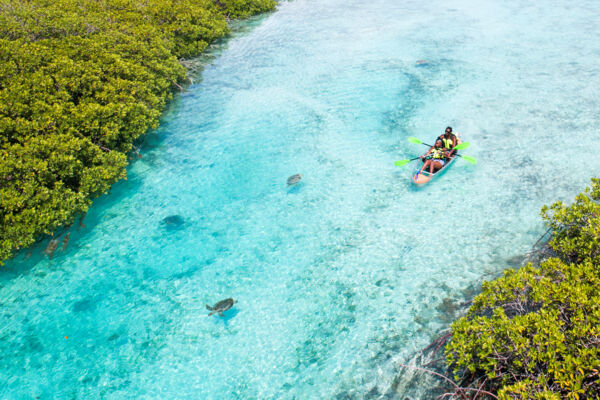 Clear kayak