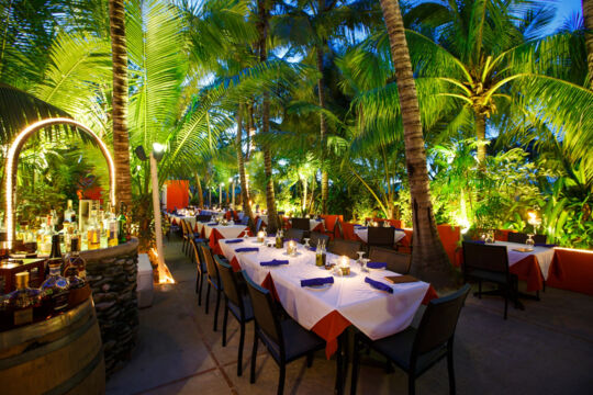 Dining tables in a lit coconut grove at night