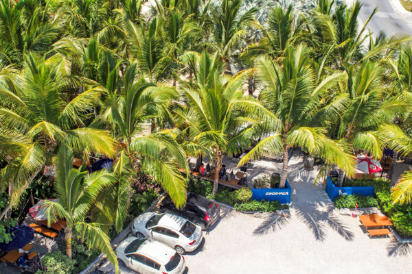 Aerial view of Cocovan Airstream Lounge and palm grove