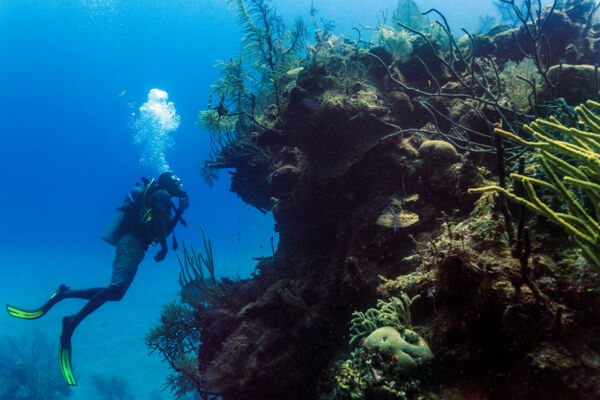 Barrier reef and wall in the Columbus Landfall National Park