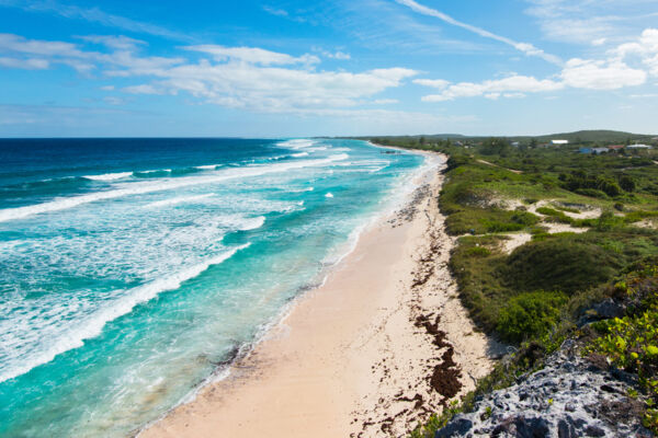 Conch Bar Beach