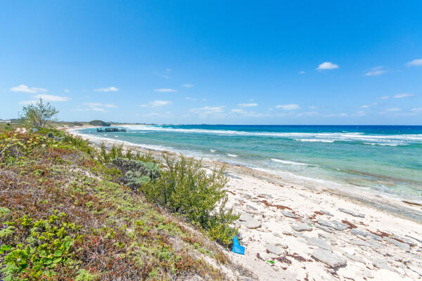 Conch Bar Beach, Turks and Caicos