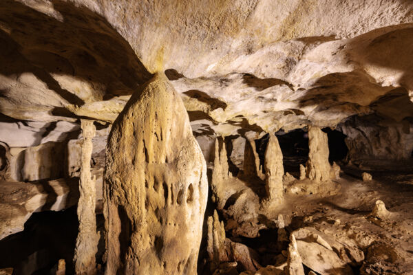 Columns and stalagmites in Conch Bar Caves