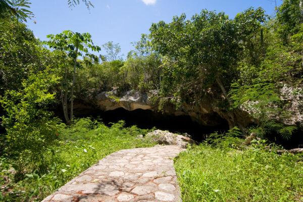 The entrance to Conch Bar Caves