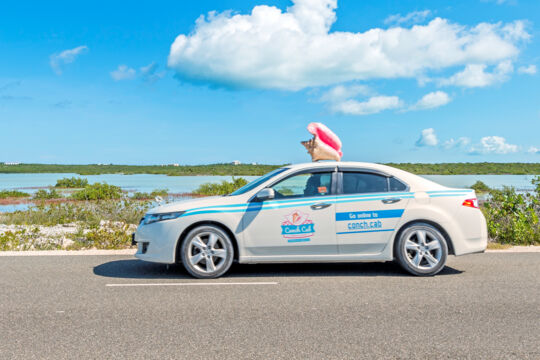 Parked white cab with a large conch shell on top