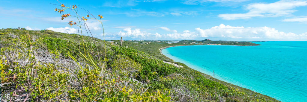 The Cooper Jack coastline on Providenciales