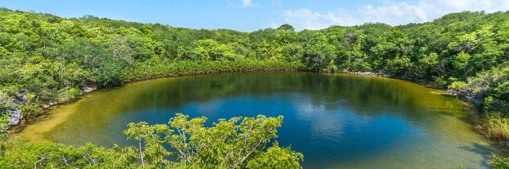 Cottage Pond on North Caicos