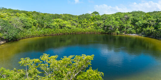 Cottage Pond on North Caicos