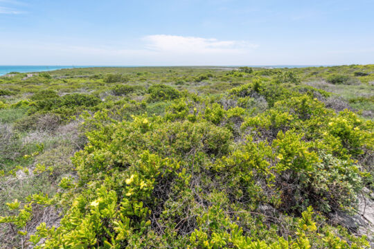 Cotton Cay in the Turks and Caicos