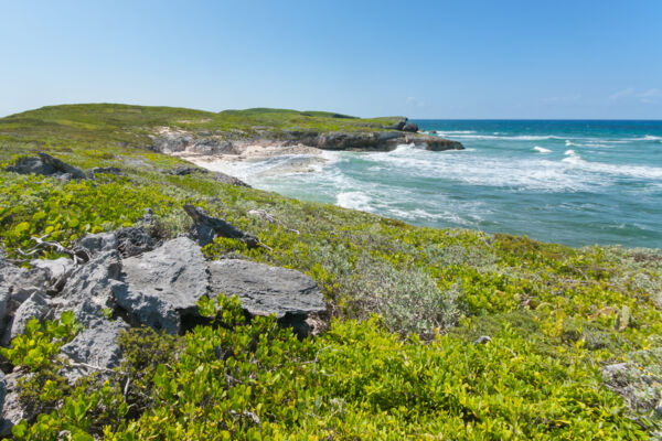 The coastline at the Crossing Place Trail on Middle Caicos