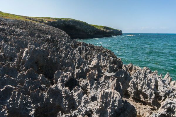 Limestone ironshore coastline at the Crossing Place Trail