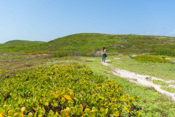 The Crossing Place Trail