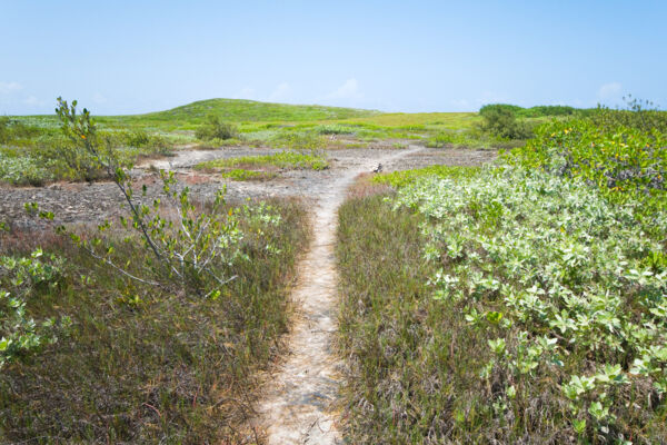 The Crossing Place Trail in the Turks and Caicos