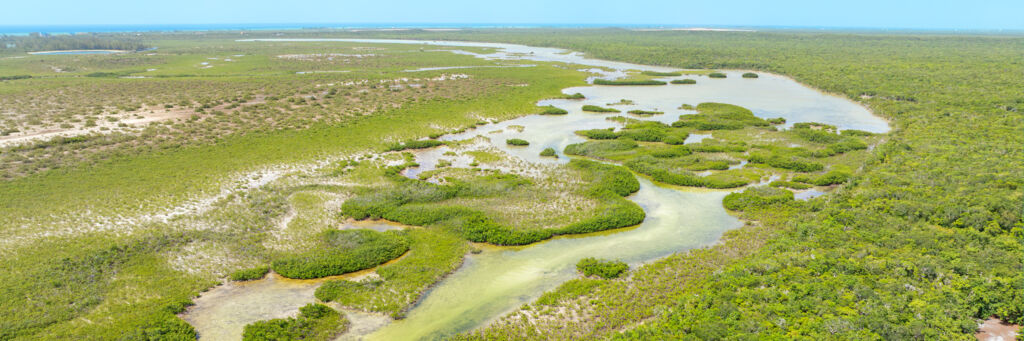 Aerial view of the Dick Hill Creek and Bellefield Landing Pond Nature Reserve, facing north.