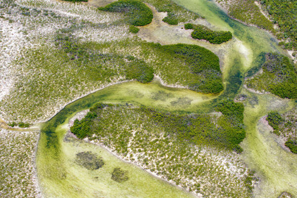 Aerial view of Dick Hill Creek and Bellefield Landing Pond Nature Reserve.
