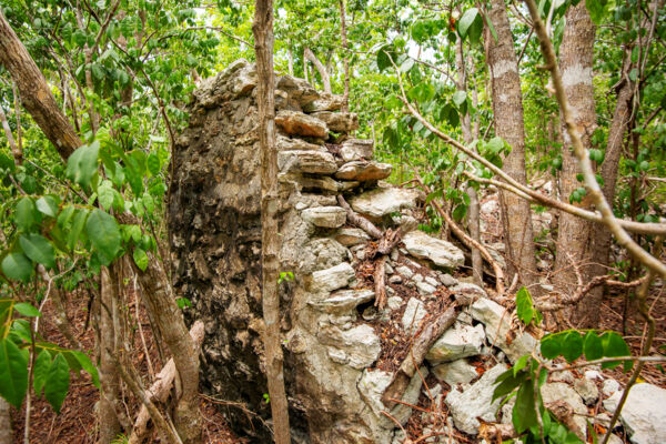 Decayed structure from Lewhy Moore Plantation on North Caicos.