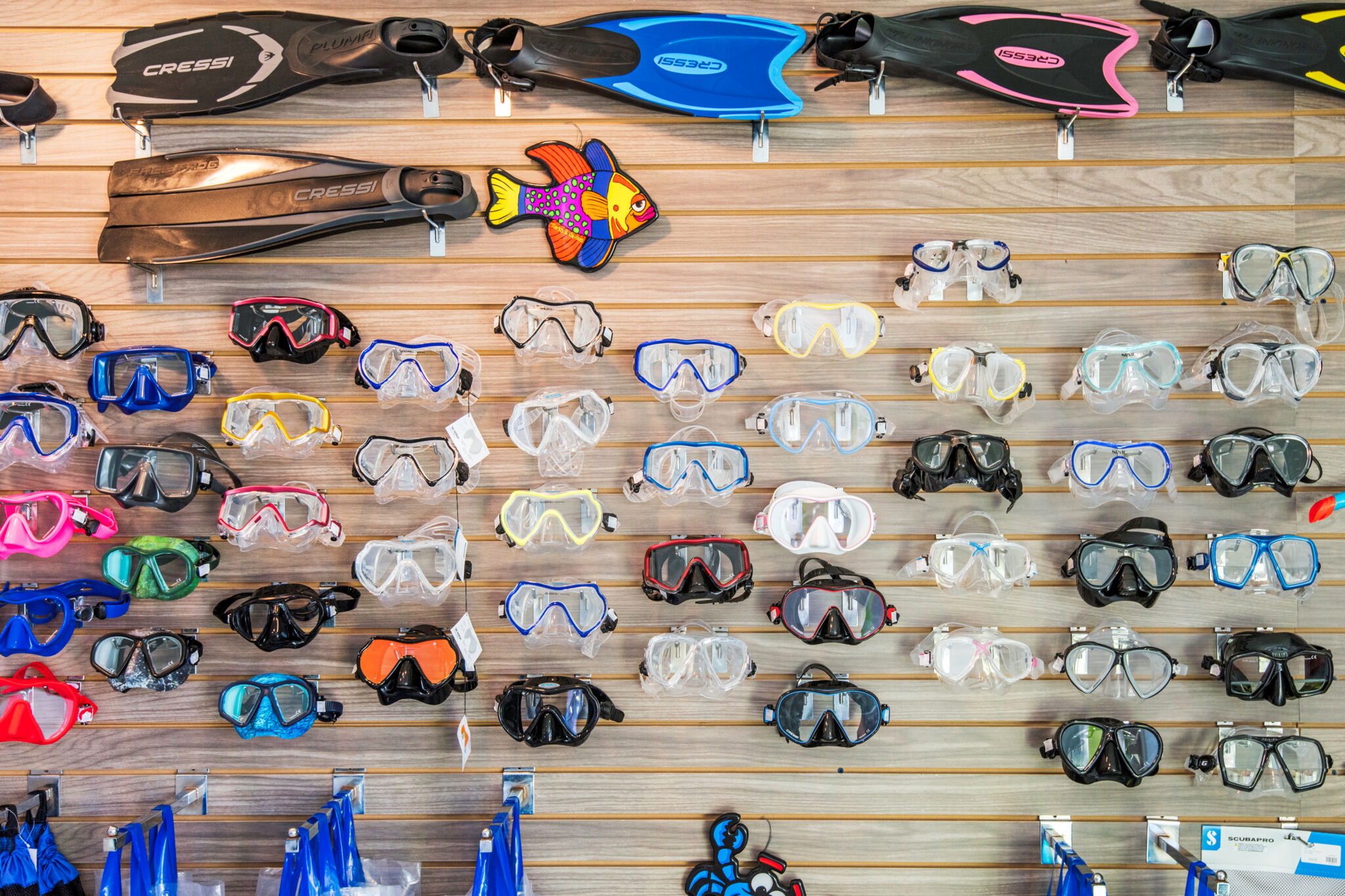Dive Provo | Visit Turks and Caicos Islands
