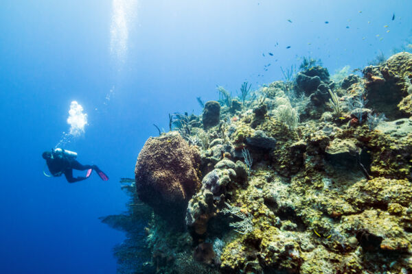 Scuba diving on the Caicos barrier reef