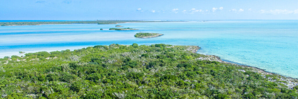 Donna Cay, Turks and Caicos