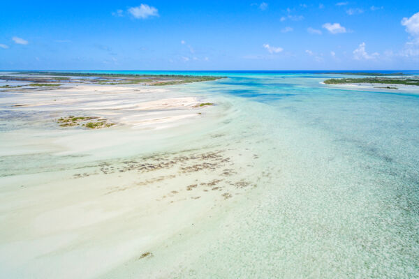 Aerial view of the southern side of East Bay Cay