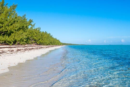 East Bay Cay