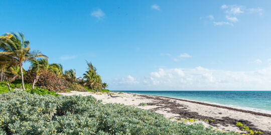 East Side Beach on Grand Turk