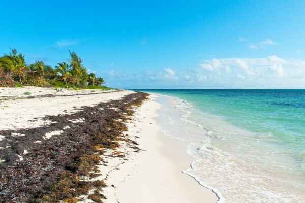 East Side Beach in the Turks and Caicos