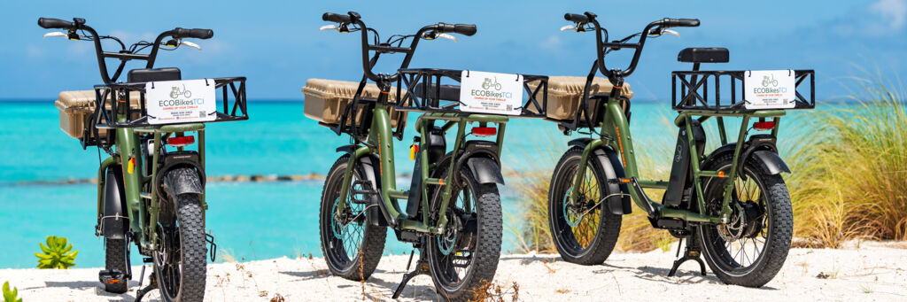 Eco cycle electric bike on sale