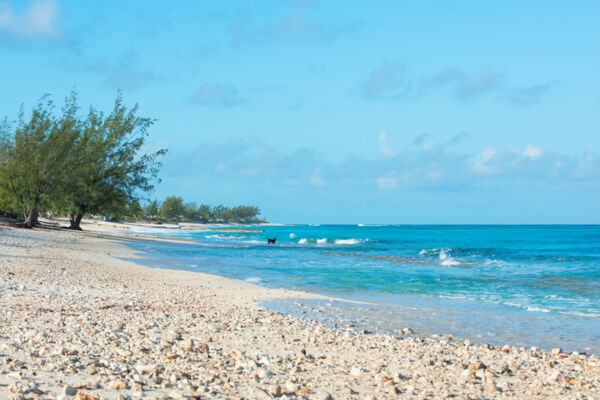 English Point Beach on Grand Turk