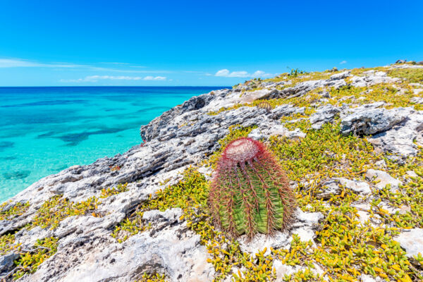 Fish Cays, Turks and Caicos