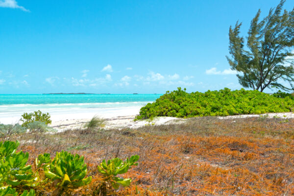 Five Cays Beach, Turks and Caicos