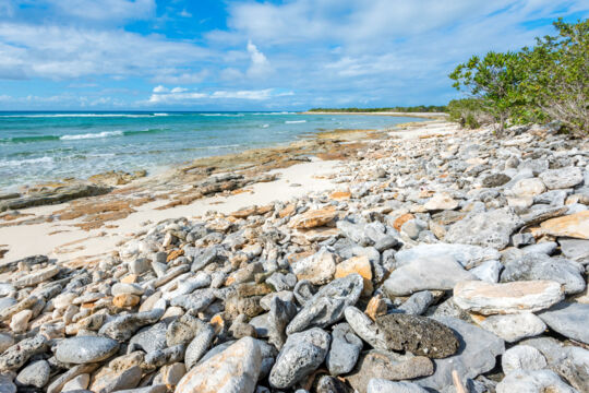 rocks on the beach at Flamingo Creek Bay