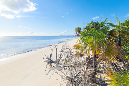 South end of Flamingo Creek Bay