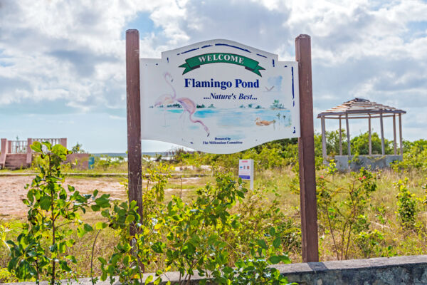 Road sign at Flamingo Pond Overlook on North Caicos