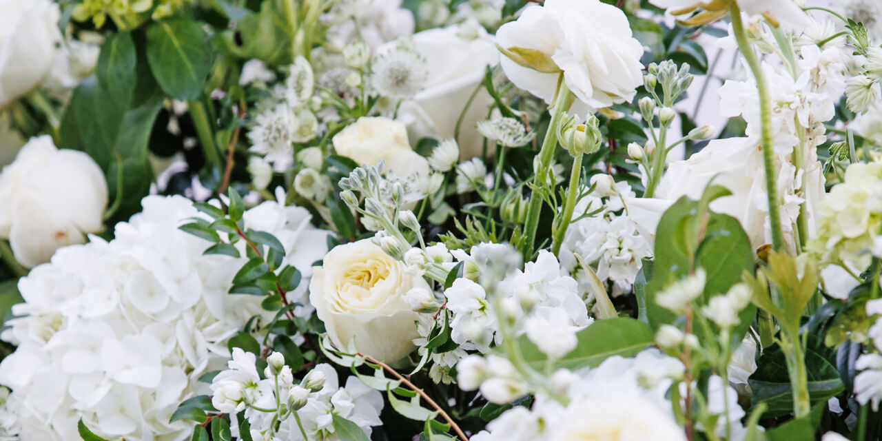 Flowers by EA Visit Turks and Caicos Islands